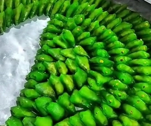 MM Royal Caters and Events